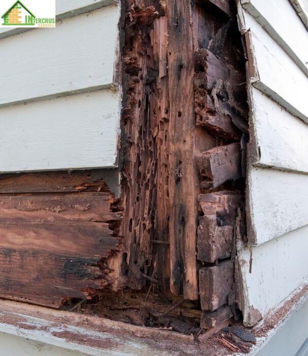 Dry Rot Repair Seattle